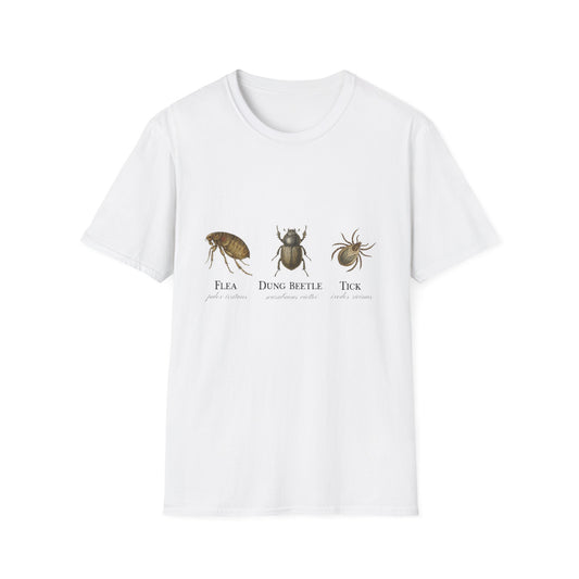 Flea Dung Beetle Tick