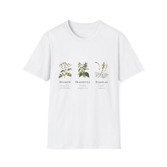 Feverfew Deadnettle Toadflax