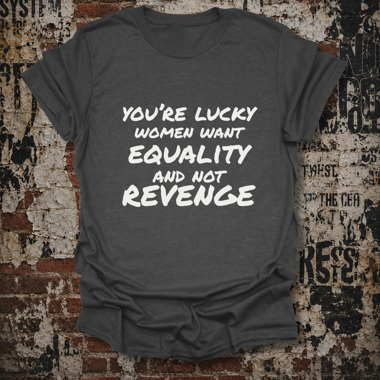 A dark gray graphic t-shirt with white text reading 'YOU'RE LUCKY WOMEN WANT EQUALITY AND NOT REVENGE', displayed flat against a distressed brick and concrete wall background.