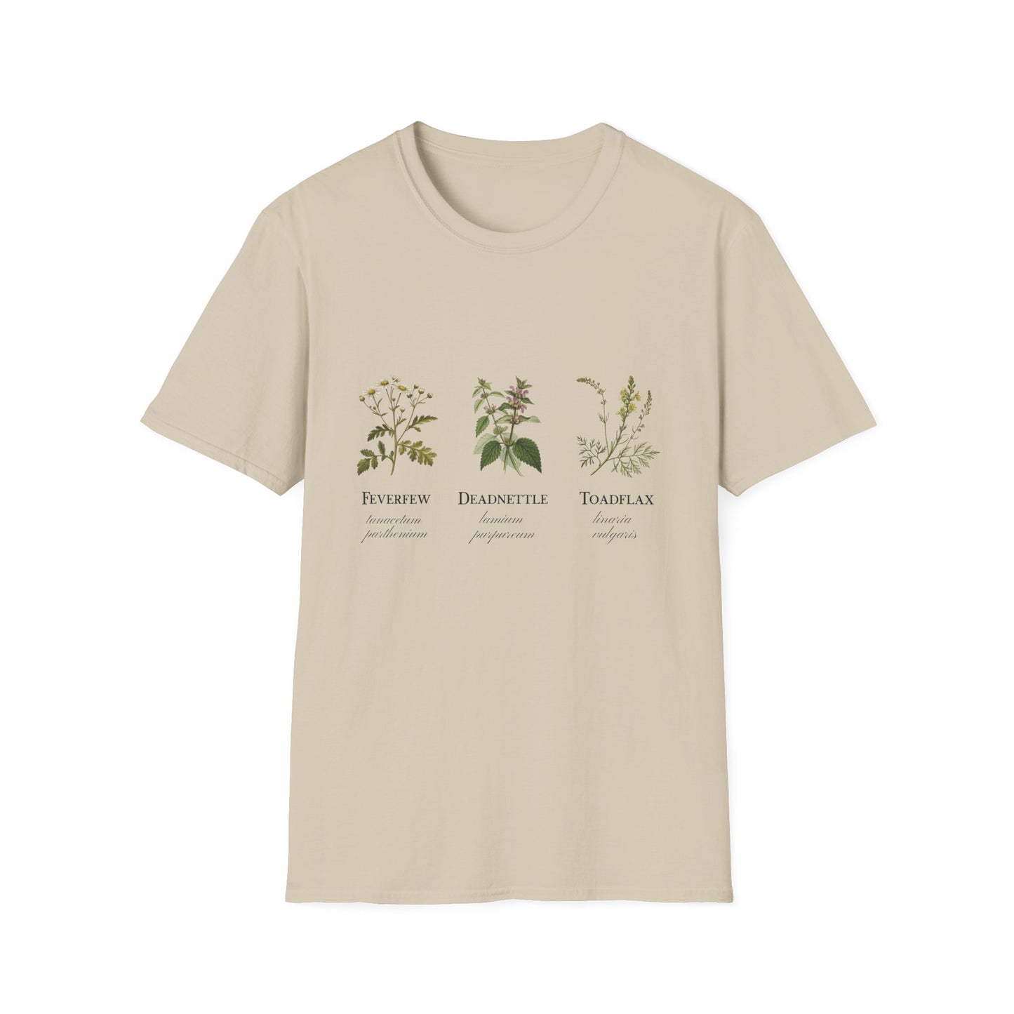 Feverfew Deadnettle Toadflax