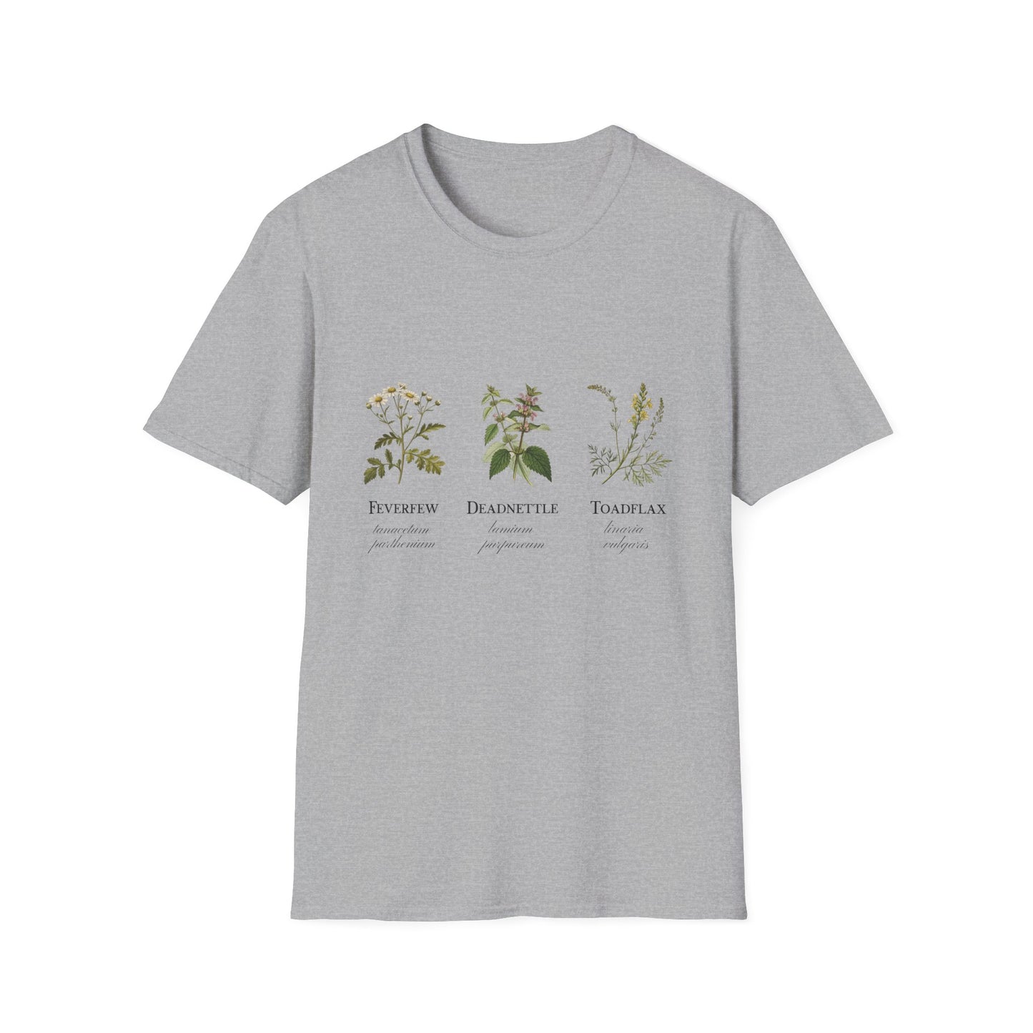 Feverfew Deadnettle Toadflax