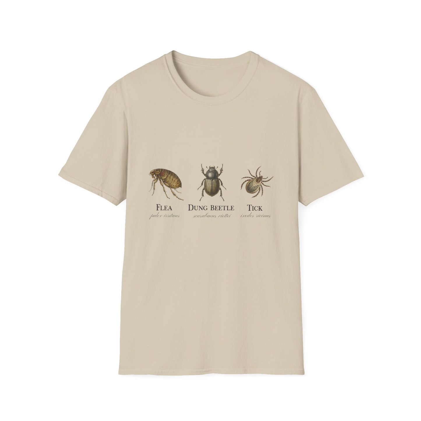 Flea Dung Beetle Tick